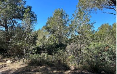 finca rústica en mont-roig del camp