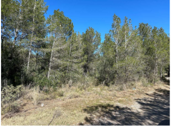 finca rústica en mont-roig del camp