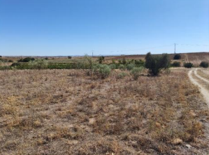 finca rústica en viso de san juan (el)