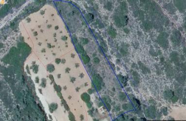 finca rústica en tous