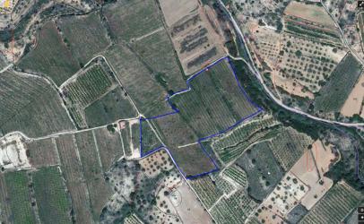 finca rústica en tous