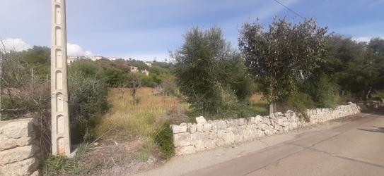 finca rústica en buger