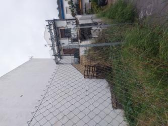 vivienda en bosque (el)