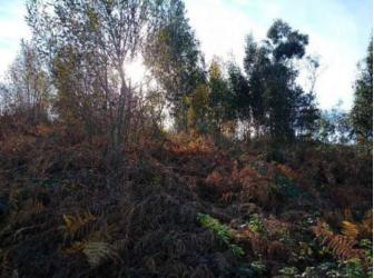 finca rústica en siero