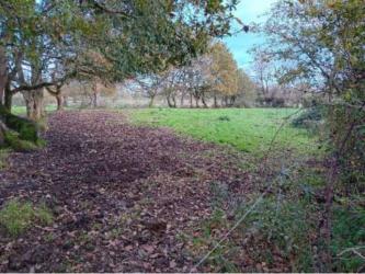 finca rústica en siero