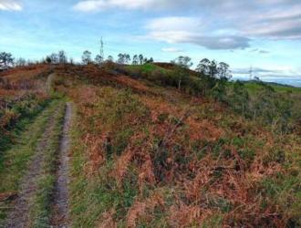finca rústica en siero