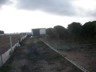 finca rústica en los palacios y villafranca