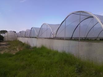 finca rústica en l'alcudia