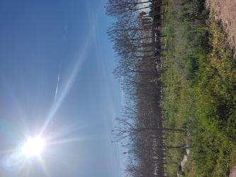 finca rústica en l'alcudia