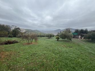 finca rústica en olvera