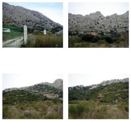 finca rústica en alfarnate