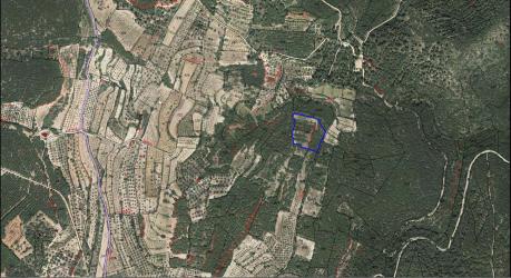 finca rústica en jerica