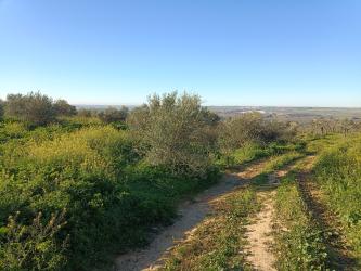 finca rústica en sanlucar la mayor