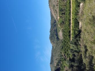 finca rústica en antella