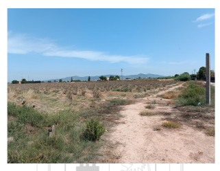 finca rústica en el prat de llobregat