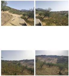 finca rústica en alozaina