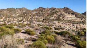 finca rústica en huercal-overa