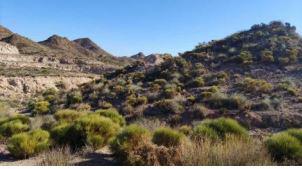 finca rústica en huercal-overa