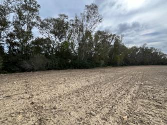 finca rústica en chiclana de la frontera