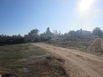 finca rústica en almonte