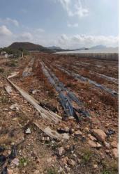 finca rústica en mazarron