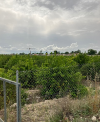 finca rústica en benejuzar