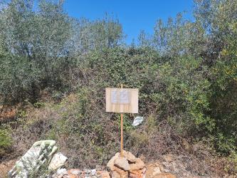 finca rústica en betxi