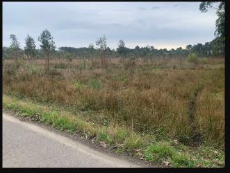 finca rústica en ribeira