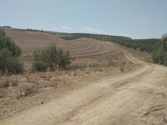 finca rústica en jaen
