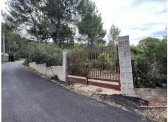 finca rústica en vilamarxant