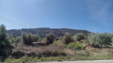 finca rústica en bocairent