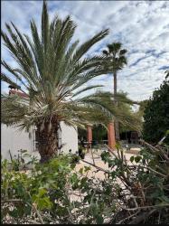 vivienda en s vicent del raspeig-s vicente del