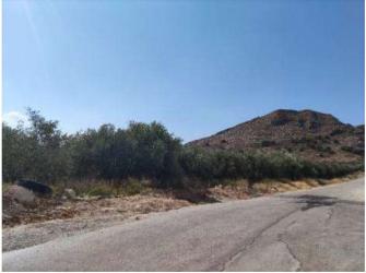 finca rústica en murcia