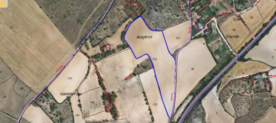 finca rústica en palencia