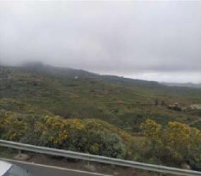 finca rústica en ingenio