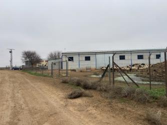 finca rústica en madridejos