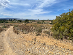 finca rústica en montserrat