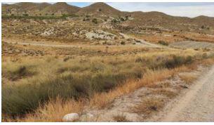 finca rústica en lorca