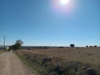 finca rústica en horche