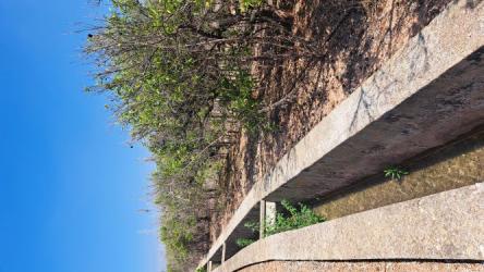 finca rústica en castellon de la plana