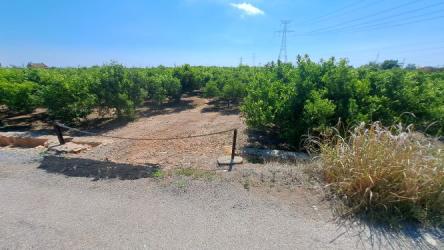 finca rústica en castellon de la plana