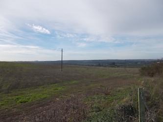 finca rústica en palma del rio