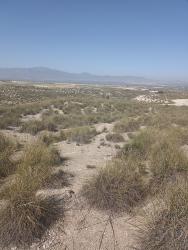 finca rústica en baza