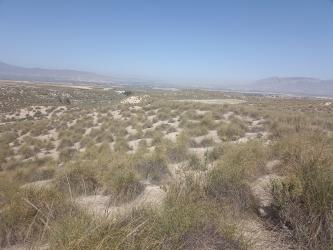 finca rústica en baza