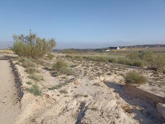 finca rústica en baza