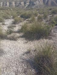 finca rústica en baza