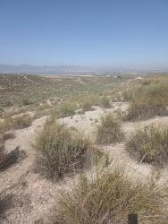 finca rústica en baza