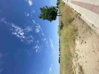 finca rústica en getafe