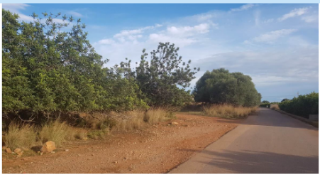 finca rústica en la vall d'uixo