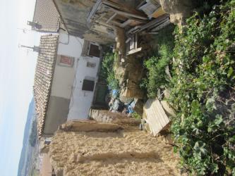 otros en murillo el fruto